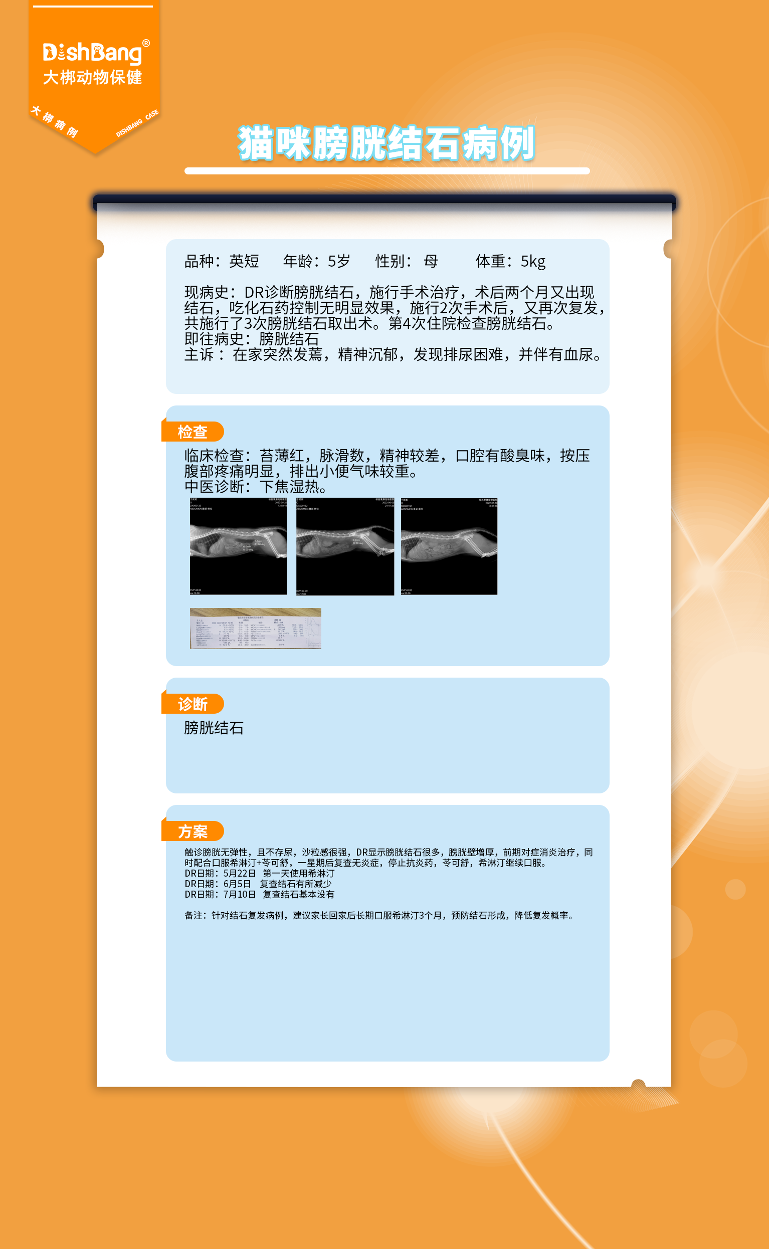 貓咪膀胱結(jié)石2.png